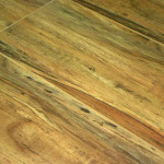 Australian-Cypress-Flat