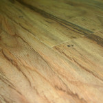 Cypress-Handscaped
