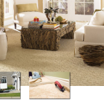 Tigard Background Homepage Image