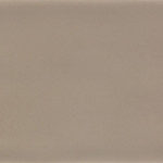 Viva Vision 10×28 Wall Tile