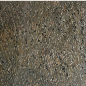 Gold Green Honed Slate Quartzite