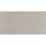 Loriant GRIS POLISHED 12×24 CROPPED