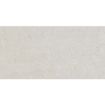 Loriant NIEVE POLISHED 12×24 CROPPED