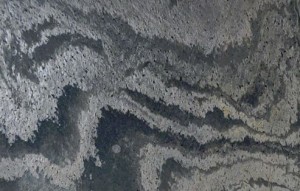 Ostrich Gray Honed 18x26 Slate