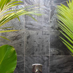 SL40H OSTRICH GRAY HONED 12X12