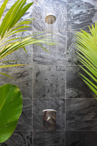 Ostrich Gray Honed 12x12 Slate