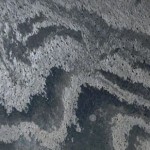 SL40H  OSTRICH GRAY HONED 12×12