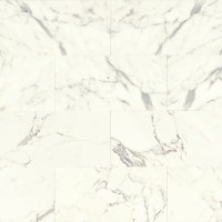 Calacatta Polished 12x24 Marble